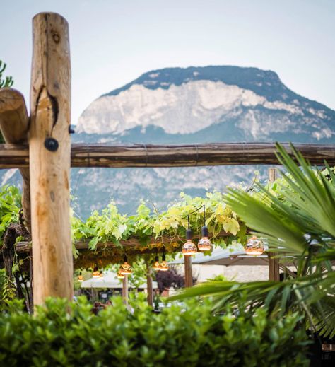 Il nostro giardino e le montagne